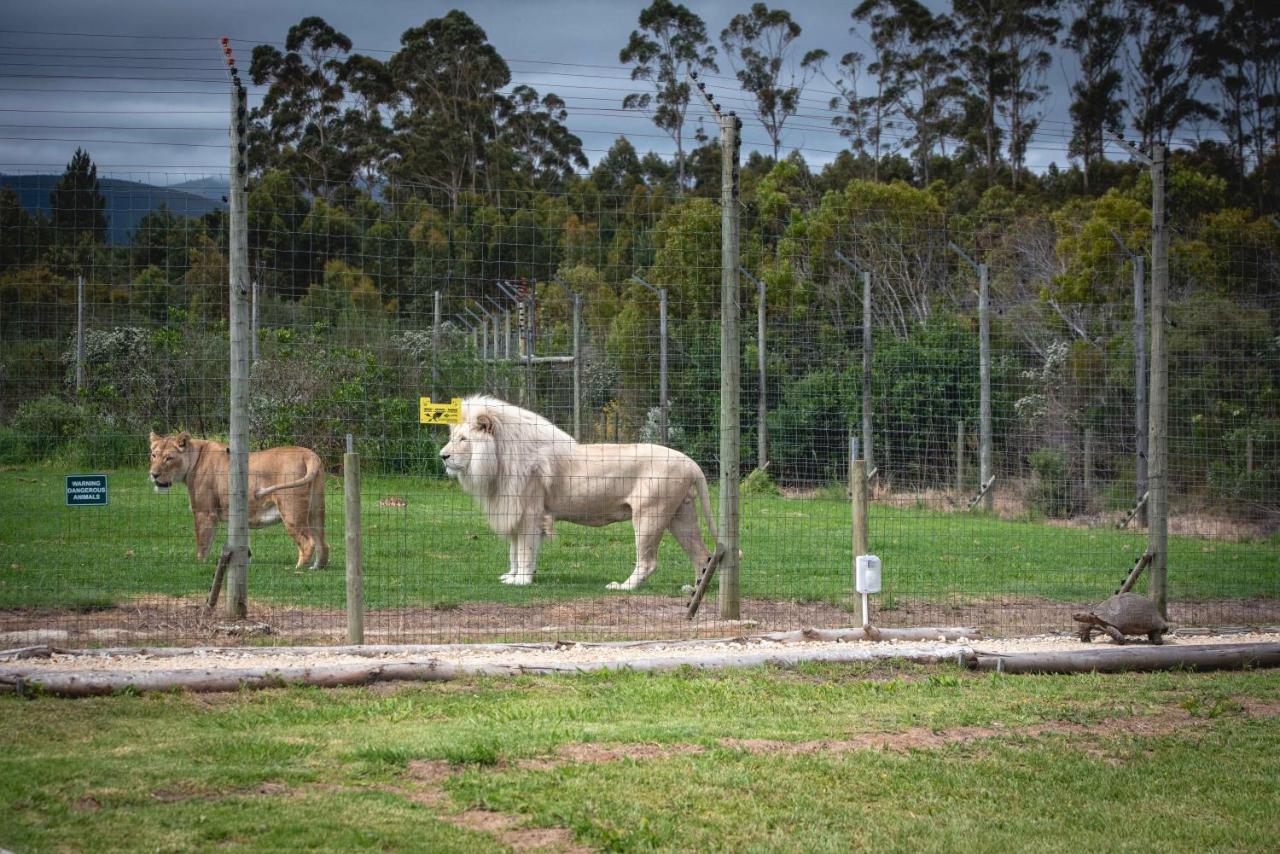 Tenikwa Wildlife Centre & Spa プレッテンバーグ・ベイ エクステリア 写真