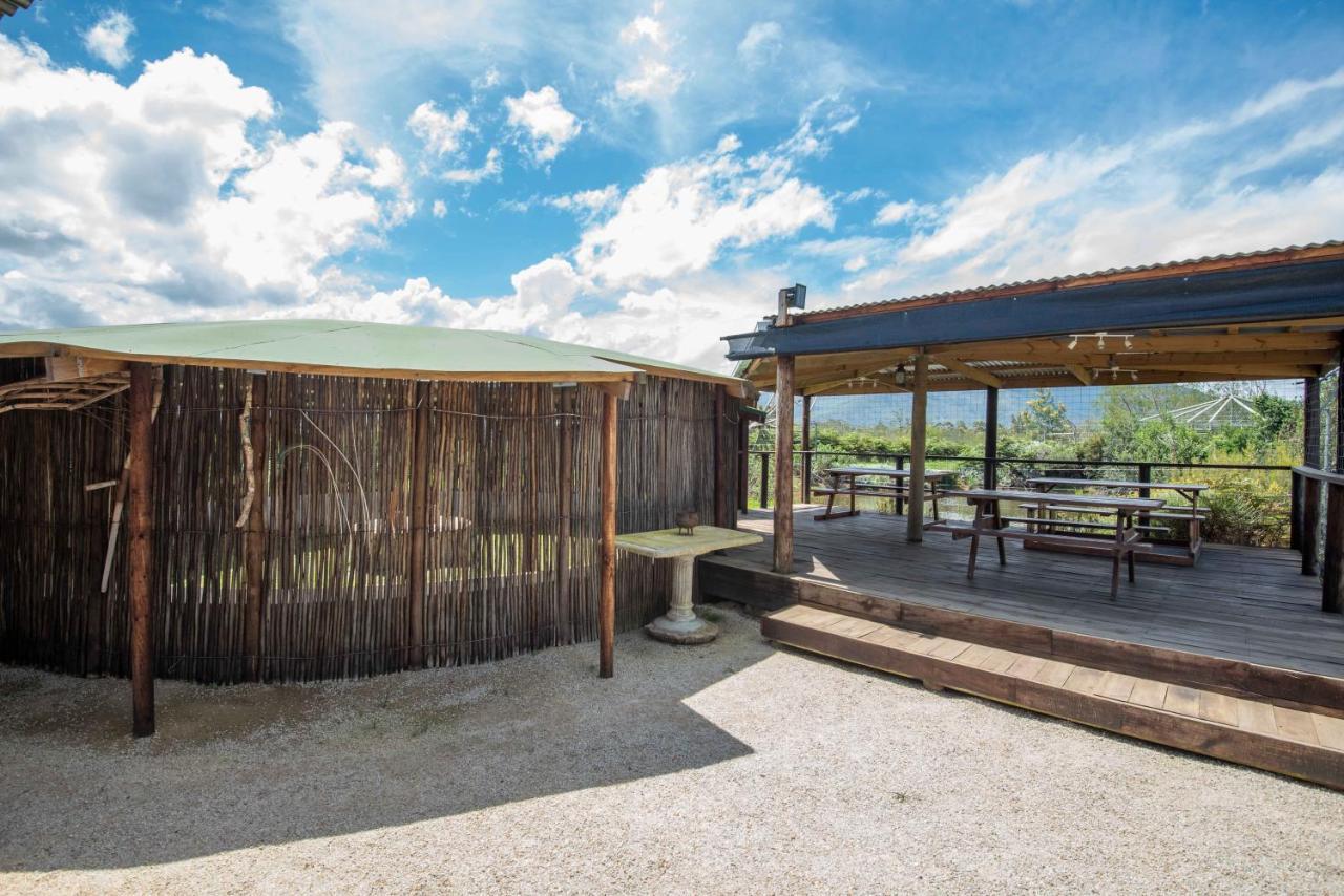 Tenikwa Wildlife Centre & Spa プレッテンバーグ・ベイ エクステリア 写真