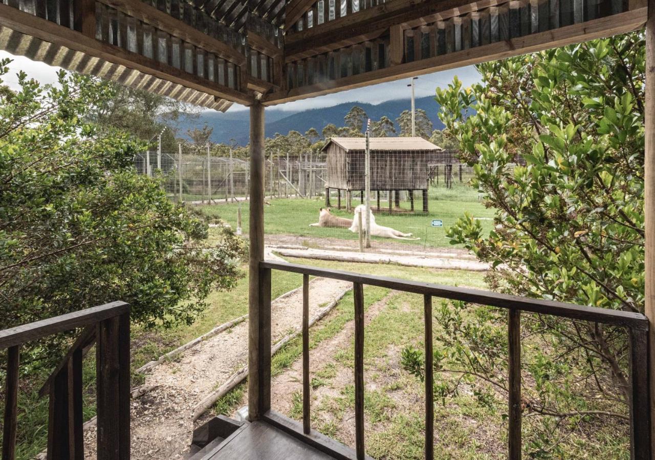 Tenikwa Wildlife Centre & Spa プレッテンバーグ・ベイ エクステリア 写真
